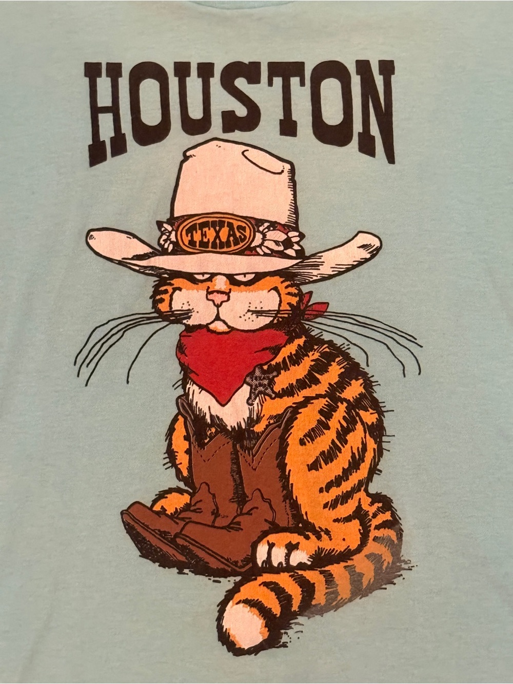 VINTAGE Texas Tabby/Houston Cowboy Cat Graphic Tee